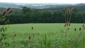 Vipassana Sicht in Triebel