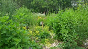 Lahnstein Dr. Bruker-Haus