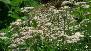 Garten am Dr.Bruker-Haus