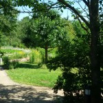 Garten am Dr.Bruker-Haus