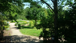 Garten am Dr.Bruker-Haus