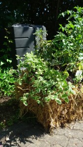 Garten am Dr.Bruker-Haus