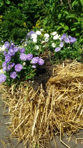 Garten am Dr.Bruker-Haus