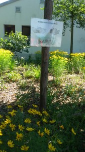Garten am Dr.Bruker-Haus